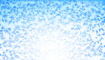 Similar image 1646947