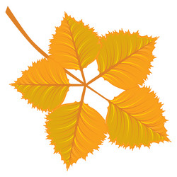 Similar image 1647068