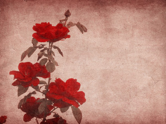 Similar image 1647082