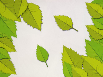 Similar image 1647138