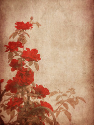 Similar image 1647164