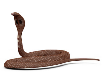 Similar image 1647189