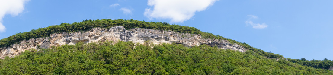 Similar image 1647193