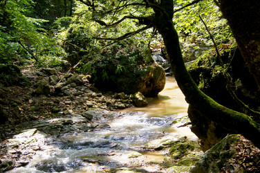 Similar image 1647194