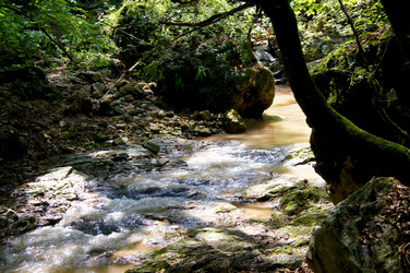 Similar image 1647197