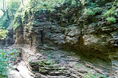 Similar image 1647218