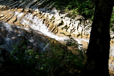 Similar image 1647221