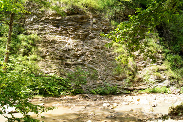 Similar image 1647228