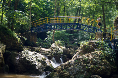 Similar image 1647229