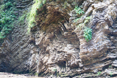 Similar image 1647230