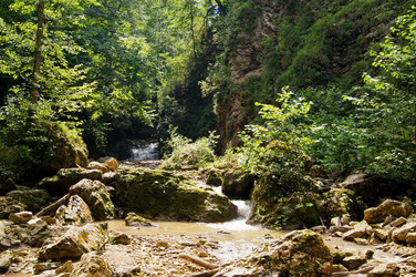 Similar image 1647234