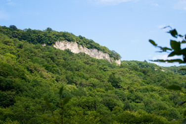 Similar image 1647240