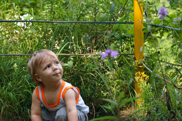 Similar image 1647263