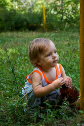 Similar image 1647264