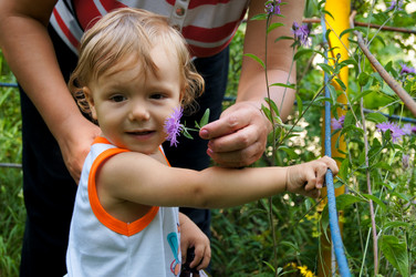 Similar image 1647271