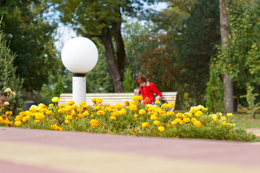 Similar image 1647311