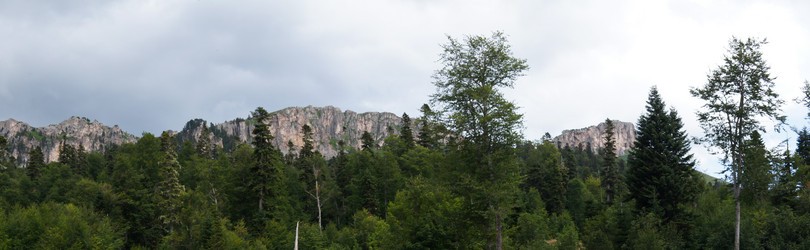 Similar image 1647380