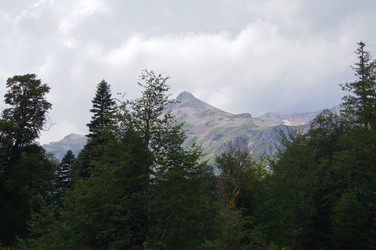 Similar image 1647391