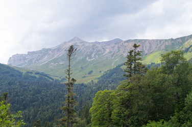 Similar image 1647396