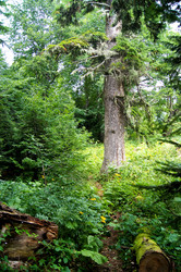 Similar image 1647397