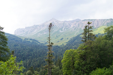 Similar image 1647398