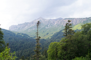 Similar image 1647399