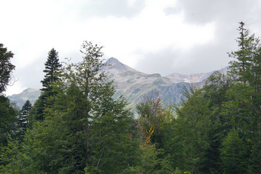 Similar image 1647405