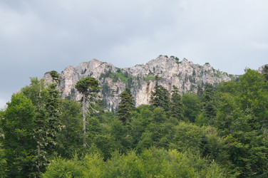 Similar image 1647406