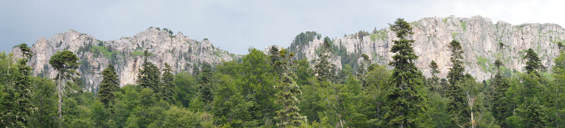 Similar image 1647407