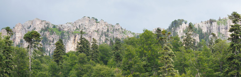 Similar image 1647409