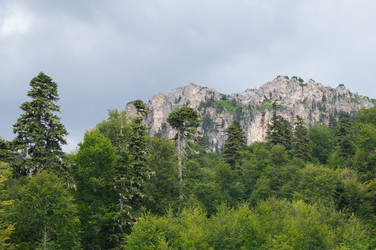 Similar image 1647410