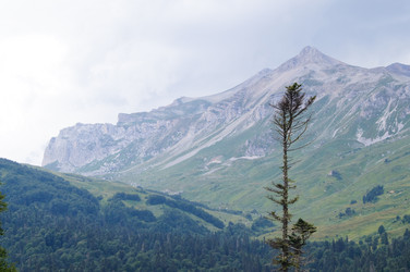 Similar image 1647413