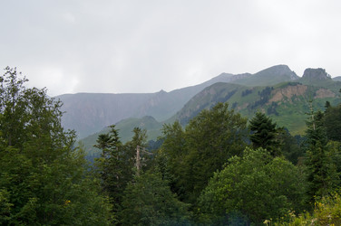 Similar image 1647428