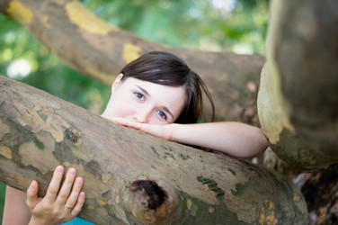 Similar image 1647492