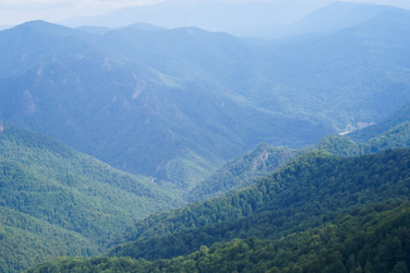 Similar image 1647497