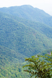 Similar image 1647502