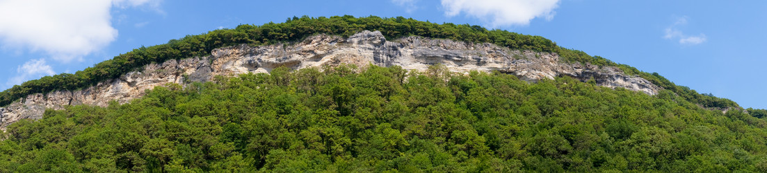 Similar image 1647662