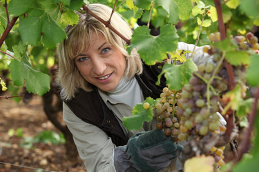 Similar image 1647995