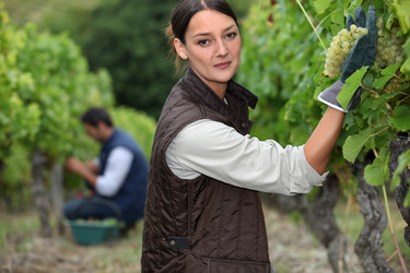 Similar image 1648003