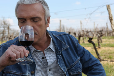 Similar image 1648005