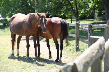 Similar image 1648025