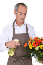 Similar image 1648033