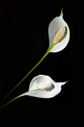 Similar image 1648201