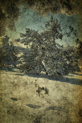 Similar image 1648213