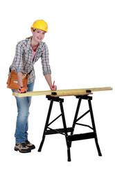 Similar image 1648366