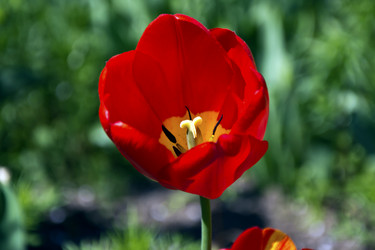 Similar image 1648631