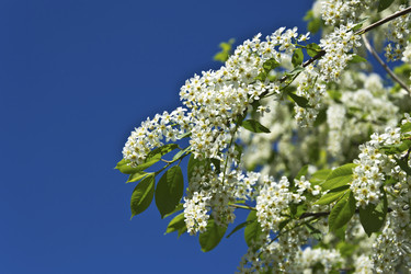 Similar image 1648688