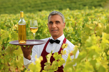 Similar image 1648788