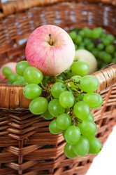 Similar image 1649029