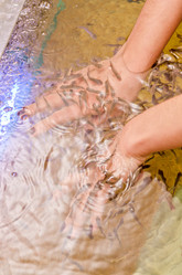 Similar image 1649189